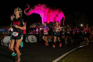 BIB: 
                            <button type="button" onclick="openModal(26535053)" class="btn btn-primary btn-sm float-right btn-popup" data-toggle="modal" data-target=".modal-high-quality">
                        <i class="fas fa-shopping-cart"></i> Add to Cart
                    </button>
                                            <button type="button" onclick="isThisMe(26535053, true)" class="btn btn-success btn-sm float-right btn-popup btn-isme hidden" data-toggle="tooltip" data-placement="bottom" title="นี่คือรูปของคุณใช่ไหม คลิกที่นี่เพื่อเอาเข้าอัลบั้ม">
                        <i class="fas fa-plus"></i> Add to album
                    </button>
                    <button type="button" onclick="isThisMe(26535053, false)" class="btn btn-warning btn-sm float-right btn-popup btn-isnotme hidden">
                        <i class="fas fa-ban"></i> Remove from album
                    </button>